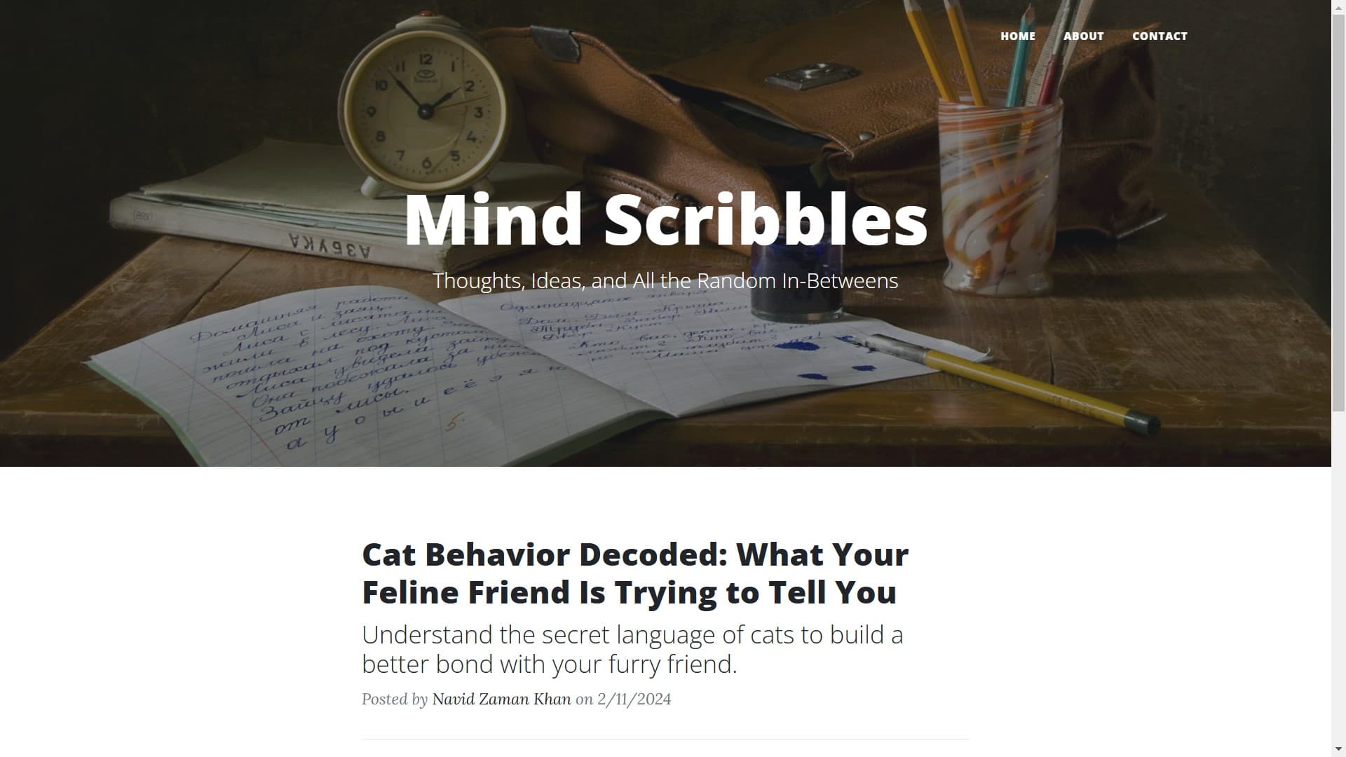 Mind Scribbles publishing application interface